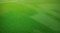 Green grass field, green lawn. Green grass for golf course, soccer, football, sport. Green turf grass texture and background for Royalty Free Stock Photo