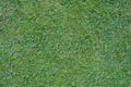 Green grass field, green lawn. Green grass for golf course, soccer, football, sport. Green turf grass texture and Royalty Free Stock Photo