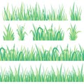 Green grass. Field herb, fresh garden meadow tuft turf and grass seamless banner isolated vector set