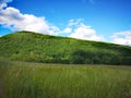 Green grass field and hill with blue sky and white clouds Royalty Free Stock Photo