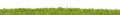 Green Grass in Field Isolated on a White. Banner. Royalty Free Stock Photo