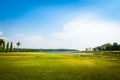 Green grass field with lake in public park Royalty Free Stock Photo