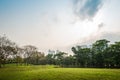 Green grass field with lake in Public Park Royalty Free Stock Photo