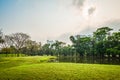 Green grass field with lake in Public Park Royalty Free Stock Photo