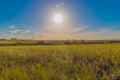 Green grass field landscape under blue sky in spring with clouds in the background Royalty Free Stock Photo