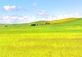 Green grass field landscape under blue sky in spring Royalty Free Stock Photo
