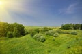 Green Grass Field Landscape Royalty Free Stock Photo