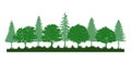 Pine forest and oak trees with grass landscapes