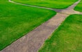 Green grass field with line pattern texture background Royalty Free Stock Photo