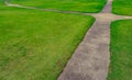 Green grass field with line pattern texture background Royalty Free Stock Photo