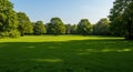 Green Grass Field with Lush Trees under Sunny Sky Royalty Free Stock Photo