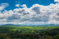 Green Grass Field Meadow with Wood and Mountain under Blue sky Royalty Free Stock Photo