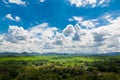 Green Grass Field Meadow with Wood and Mountain under Blue sky Royalty Free Stock Photo