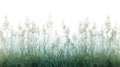 Green Grass Field Panorama Isolated on White Background Royalty Free Stock Photo
