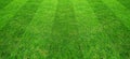 Green grass field pattern background for soccer and football sports. Green lawn pattern and texture for background Royalty Free Stock Photo