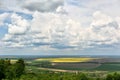 Green grass field on small hills and blue sky with clouds Royalty Free Stock Photo