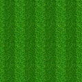 Green grass field texture. Seamless striped lawn turf Royalty Free Stock Photo