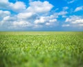 Green grass field under blue sky Royalty Free Stock Photo