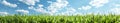 Green Grass Field Under Blue Sky With Clouds Royalty Free Stock Photo