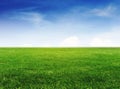 Green grass field under clear blue sky and white clouds Royalty Free Stock Photo