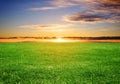 Green grass field under sunset sky in summer