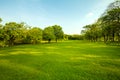 Green grass field in urban public park