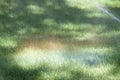 Green grass field with water sprinkler irrigation and rainbow on grass. summer background Royalty Free Stock Photo