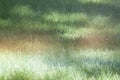 Green grass field with water sprinkler irrigation and rainbow on grass. summer background Royalty Free Stock Photo