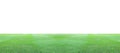 Green grass field on a white background. Royalty Free Stock Photo