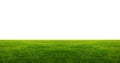 Green grass field with white copyspace Royalty Free Stock Photo