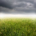 Green Grass fields and raincloud