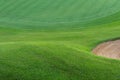 Green grass flied with sand hold Royalty Free Stock Photo