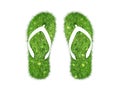 Green grass Flip-flops isolated Royalty Free Stock Photo