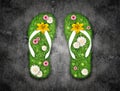 Green grass Flip-flops Royalty Free Stock Photo