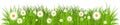 Green grass with flower frame. Spring grass and daisy border isolated. Royalty Free Stock Photo