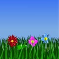 Green grass and flowers