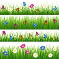 Green grass with flowers and butterflies. Seamless vector set Royalty Free Stock Photo