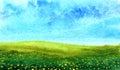 Green grass and flowers on meadow in watercolor