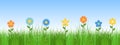 Green grass and flowers vector background Royalty Free Stock Photo