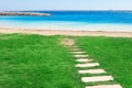 Green grass and footpath at beach