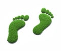 Green grass footprint. Concept of green technology Royalty Free Stock Photo