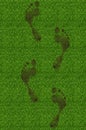 Green grass with footprints background texture Royalty Free Stock Photo