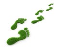 Green grass footprints - ecology 3D illustration Royalty Free Stock Photo