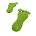 Green grass footprints Royalty Free Stock Photo