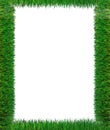 Green Grass Frame