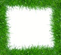 Green grass frame Royalty Free Stock Photo