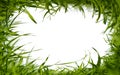 Green grass frame Royalty Free Stock Photo