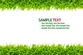Green Grass frame isolated Royalty Free Stock Photo