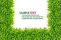 Green grass frame isolated Royalty Free Stock Photo