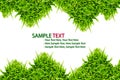Green Grass frame isolated Royalty Free Stock Photo